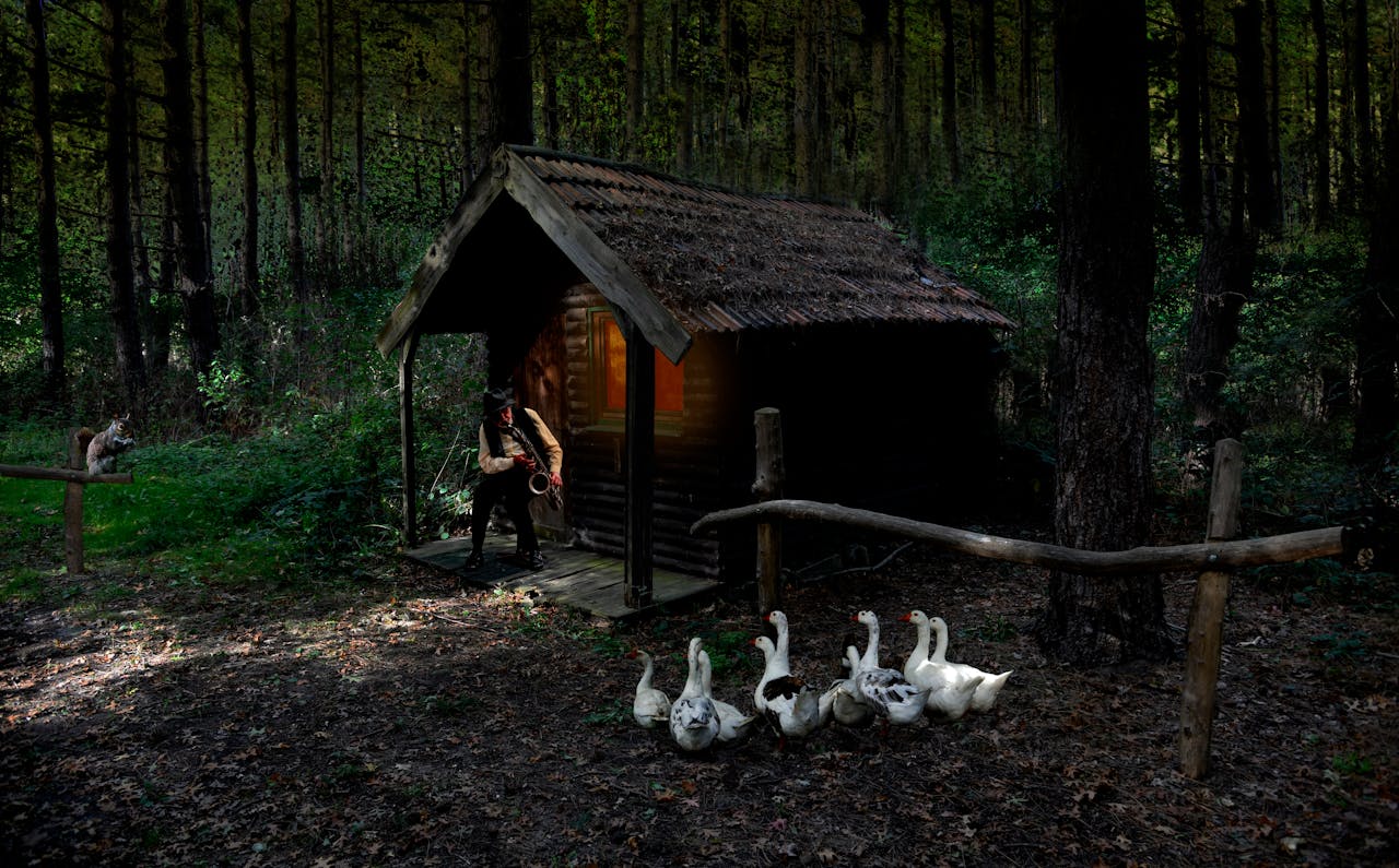 Pexels Photo 1535100