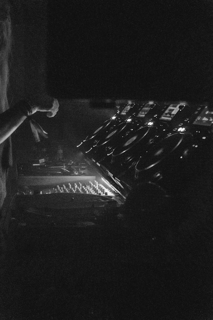 Pexels Photo 16981566